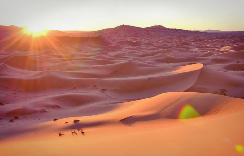 Sahara Desert Sunrise