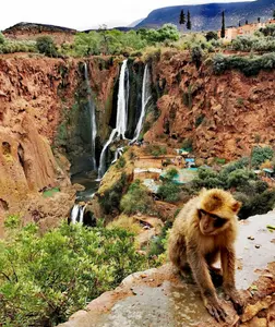 Day Trip Ouzoud Falls From Marrakech